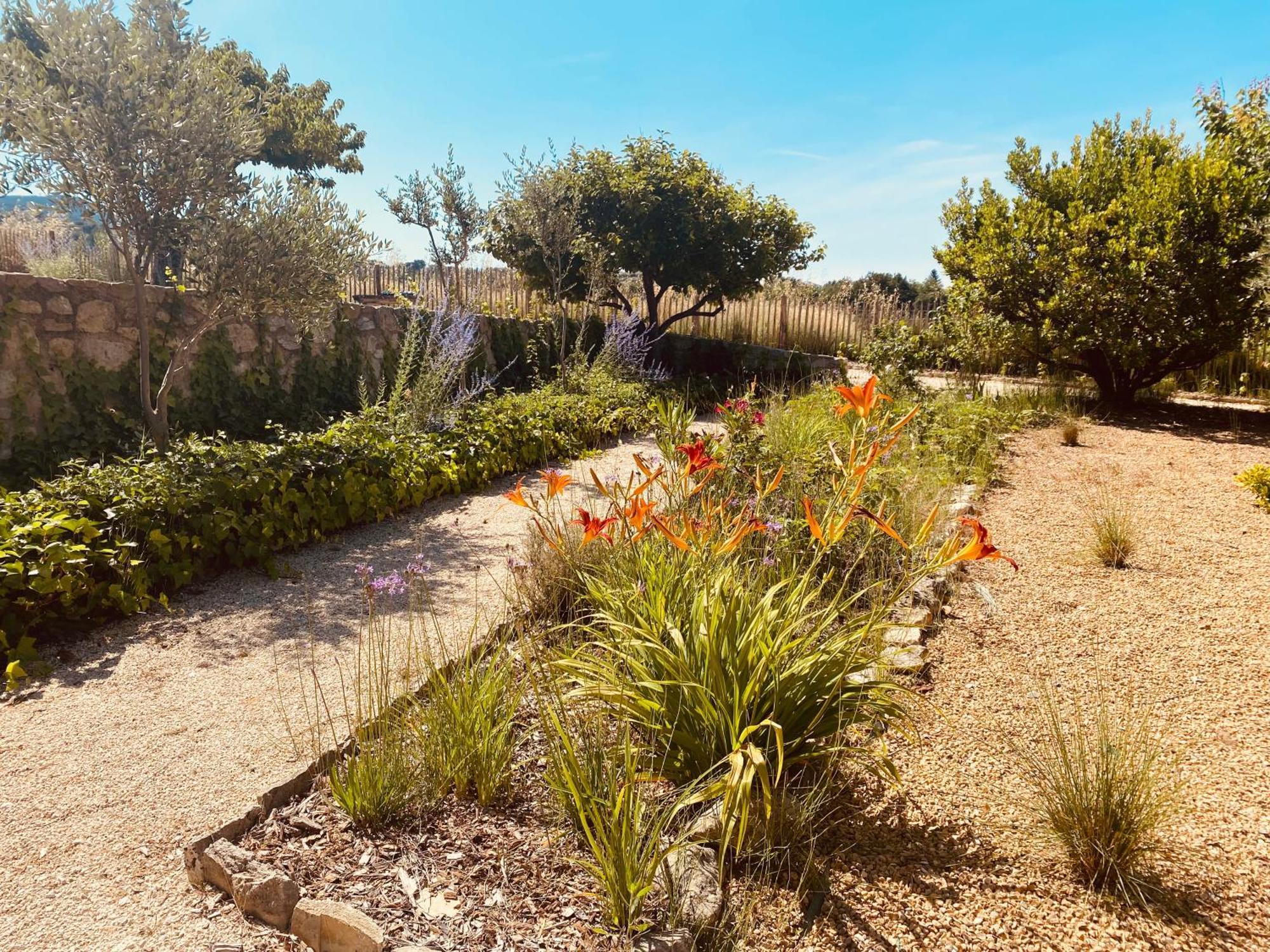 La Bastide Des Oliviers Provence - Mirabel Aux Baronnies Villa Exteriör bild