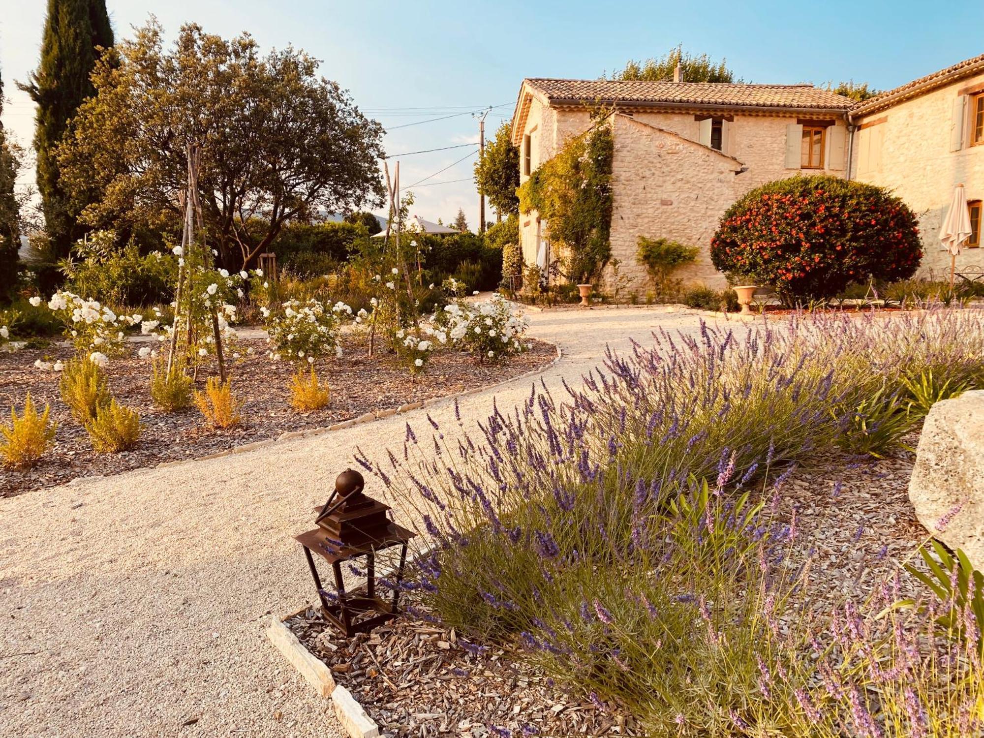 La Bastide Des Oliviers Provence - Mirabel Aux Baronnies Villa Exteriör bild