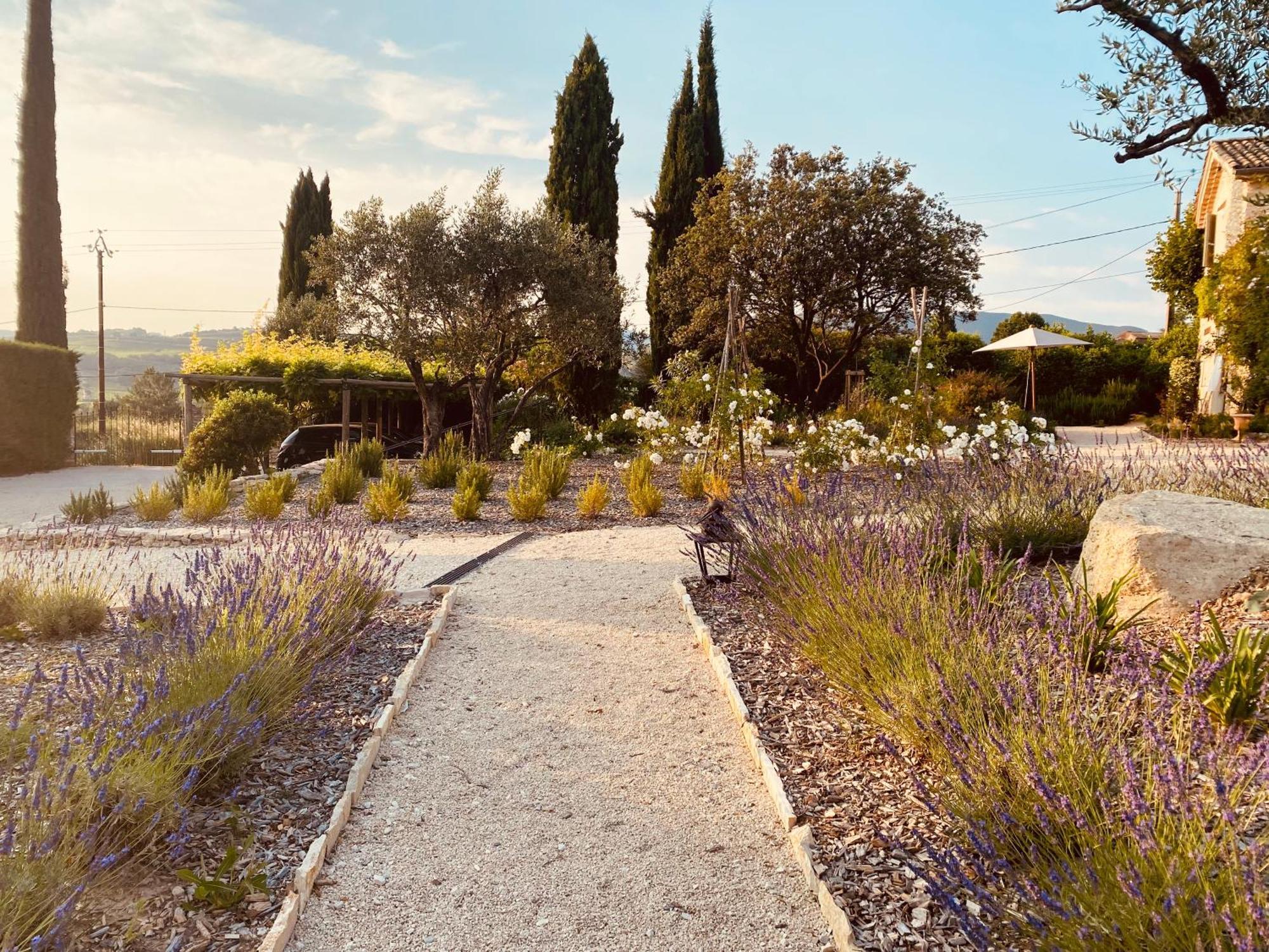 La Bastide Des Oliviers Provence - Mirabel Aux Baronnies Villa Exteriör bild