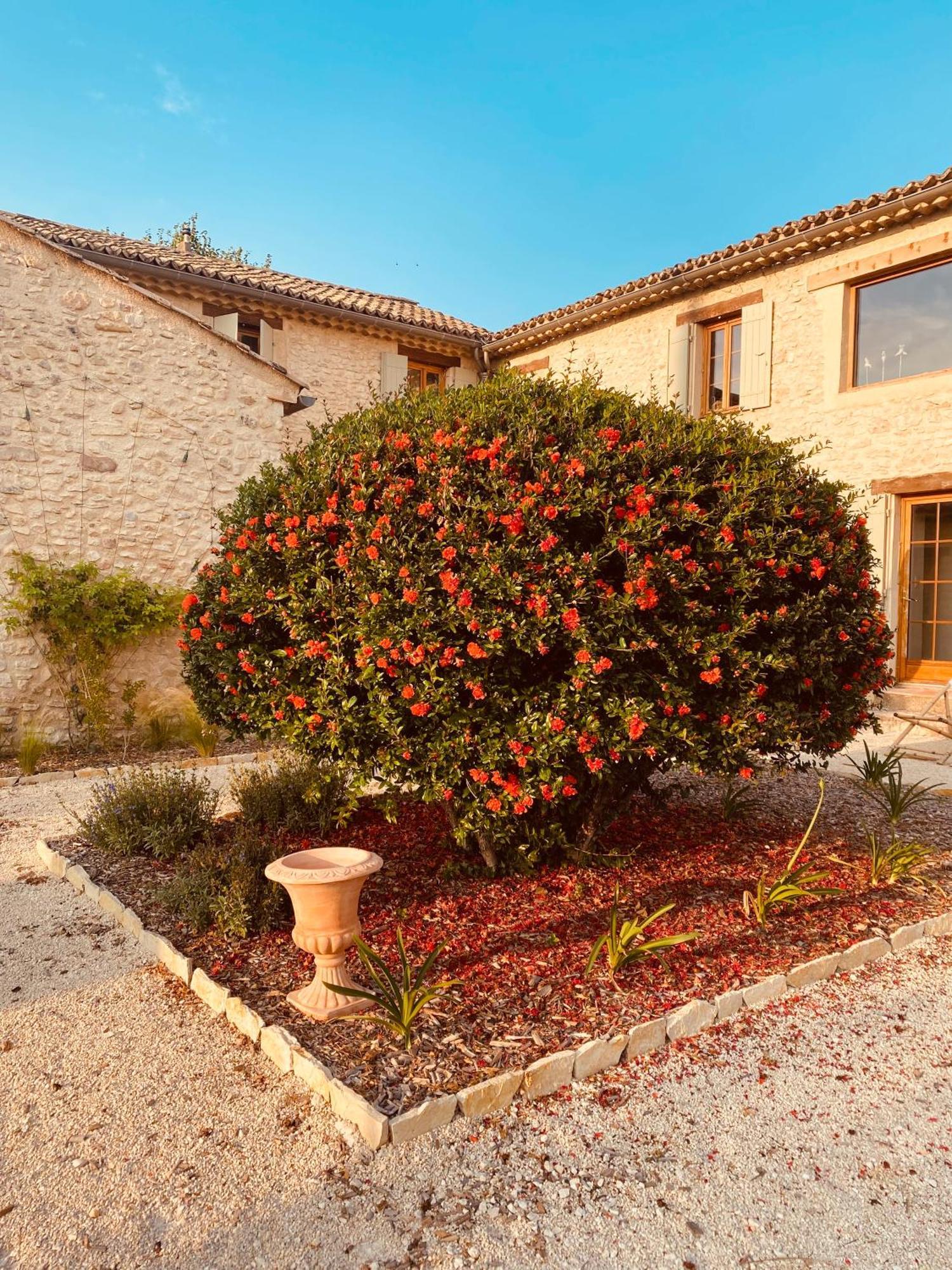 La Bastide Des Oliviers Provence - Mirabel Aux Baronnies Villa Exteriör bild