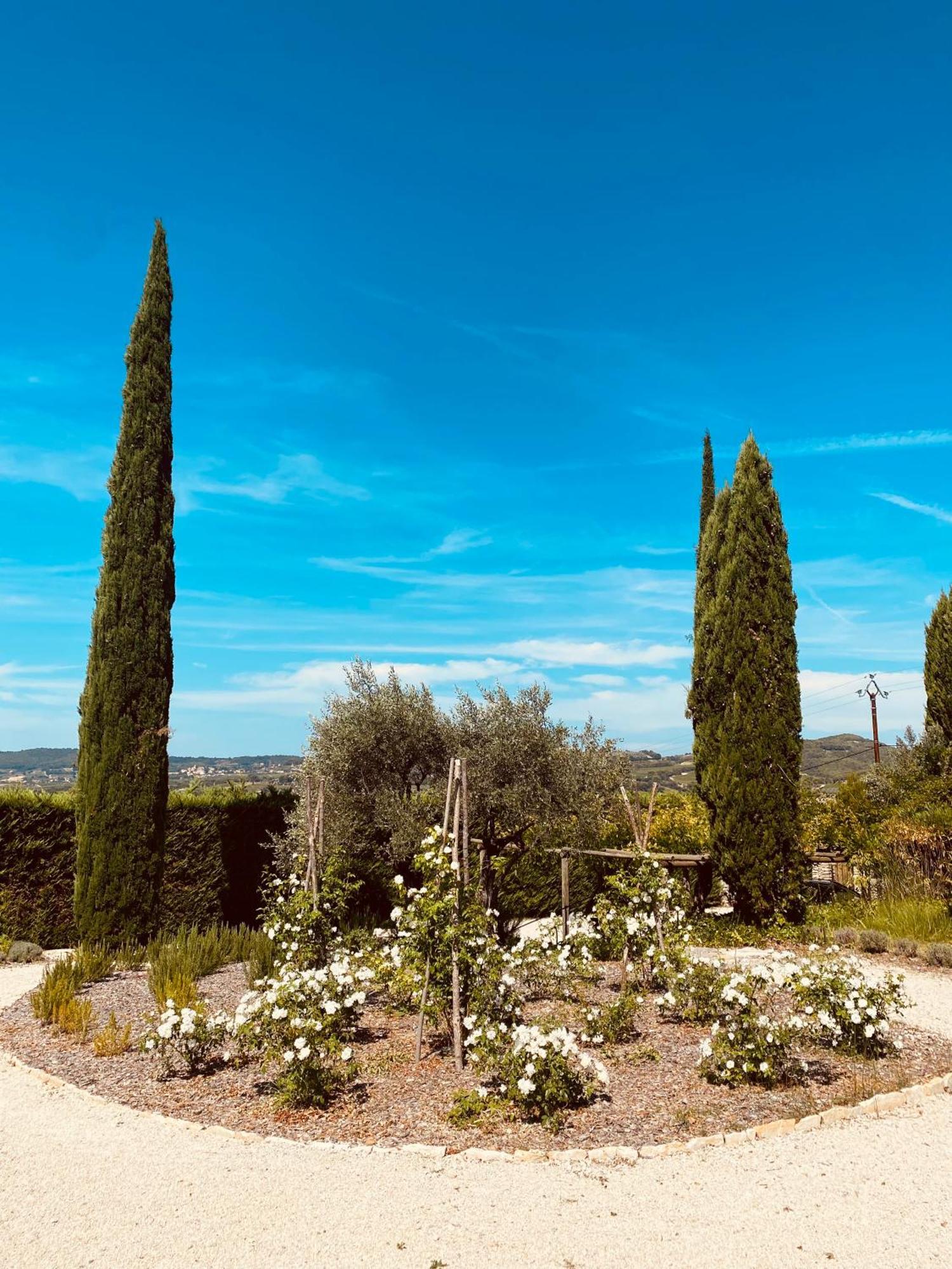 La Bastide Des Oliviers Provence - Mirabel Aux Baronnies Villa Exteriör bild
